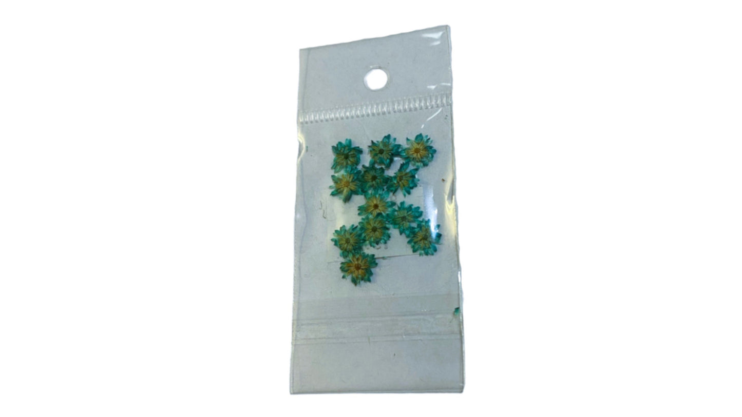 JUDITH NATURALEZA MUERTA MARGARITA