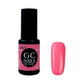 GC NAILS BEL COLOR TONOS ROSAS