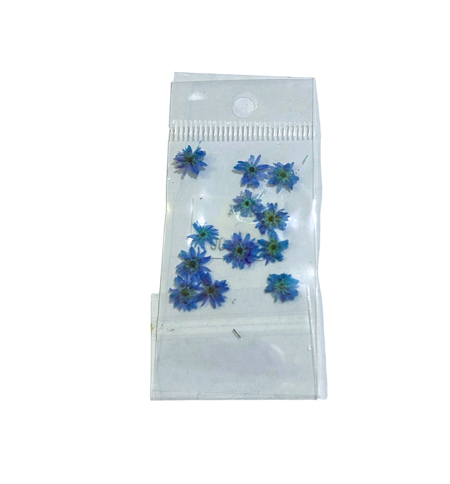 JUDITH NATURALEZA MUERTA MARGARITA