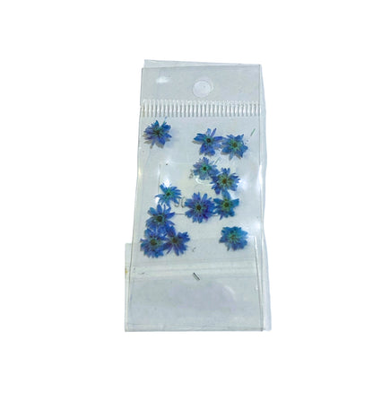 JUDITH NATURALEZA MUERTA MARGARITA