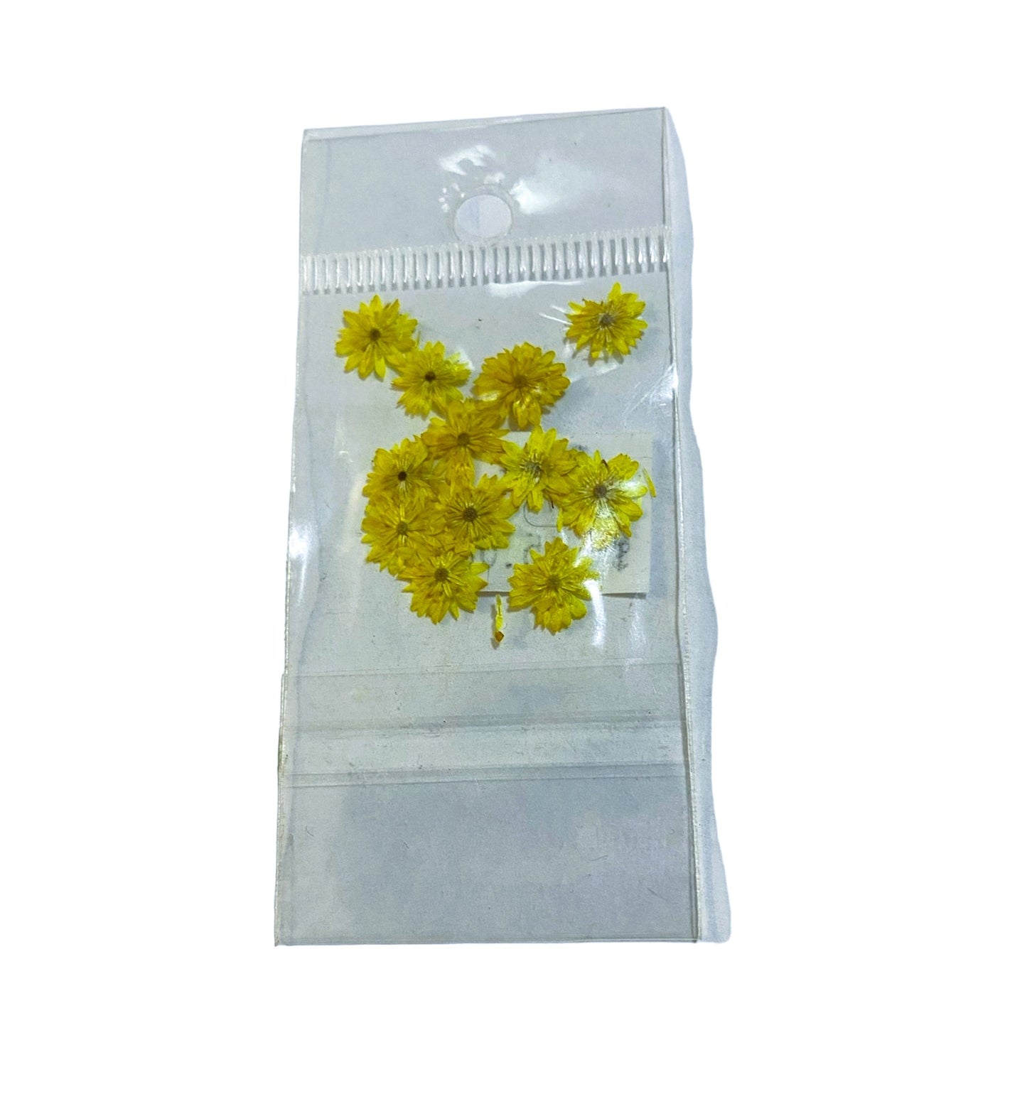 JUDITH NATURALEZA MUERTA MARGARITA