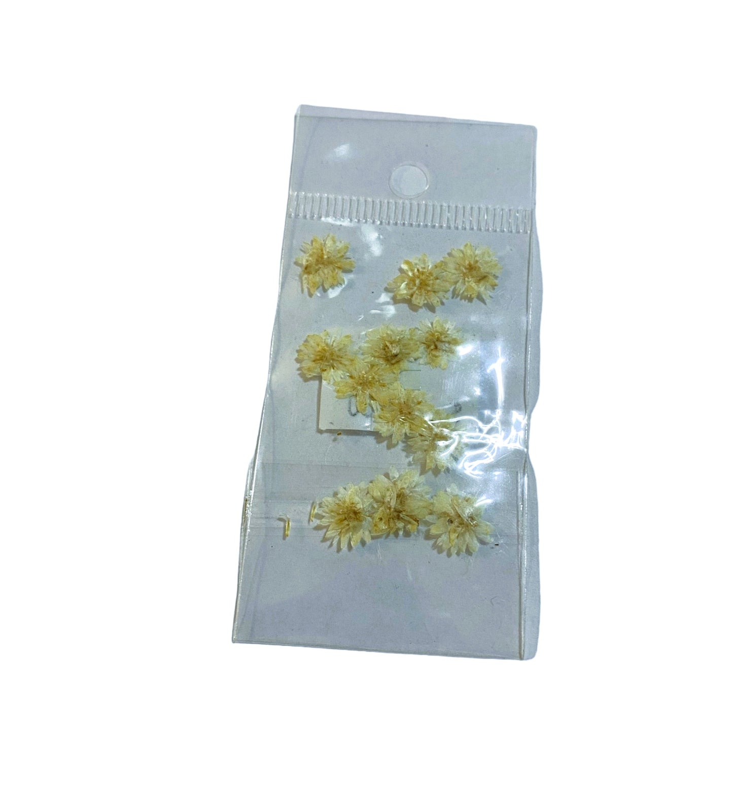 JUDITH NATURALEZA MUERTA MARGARITA