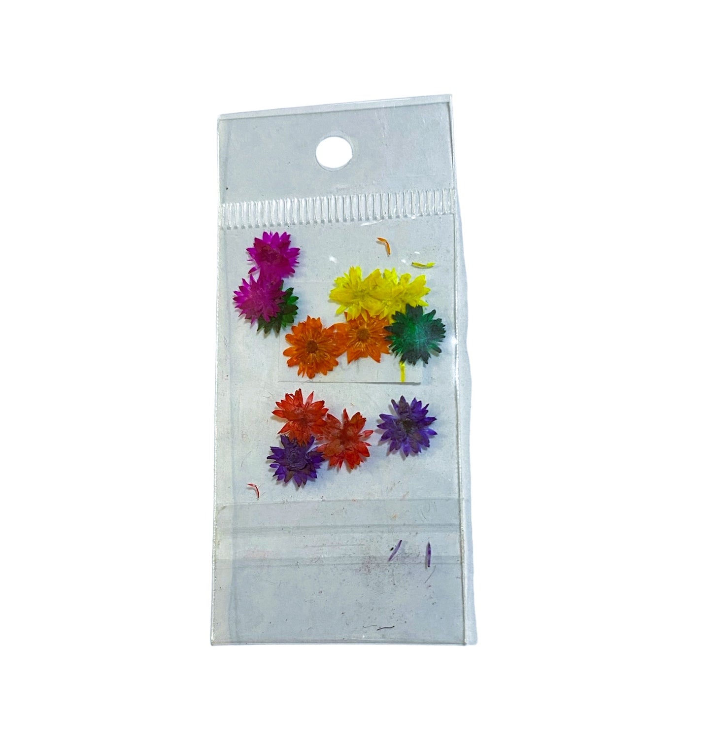 JUDITH NATURALEZA MUERTA MARGARITA