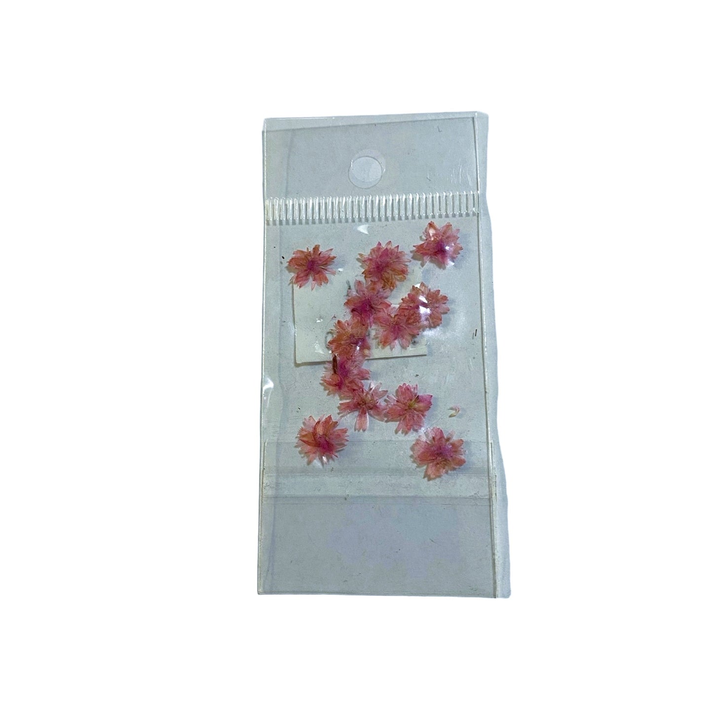 JUDITH NATURALEZA MUERTA MARGARITA