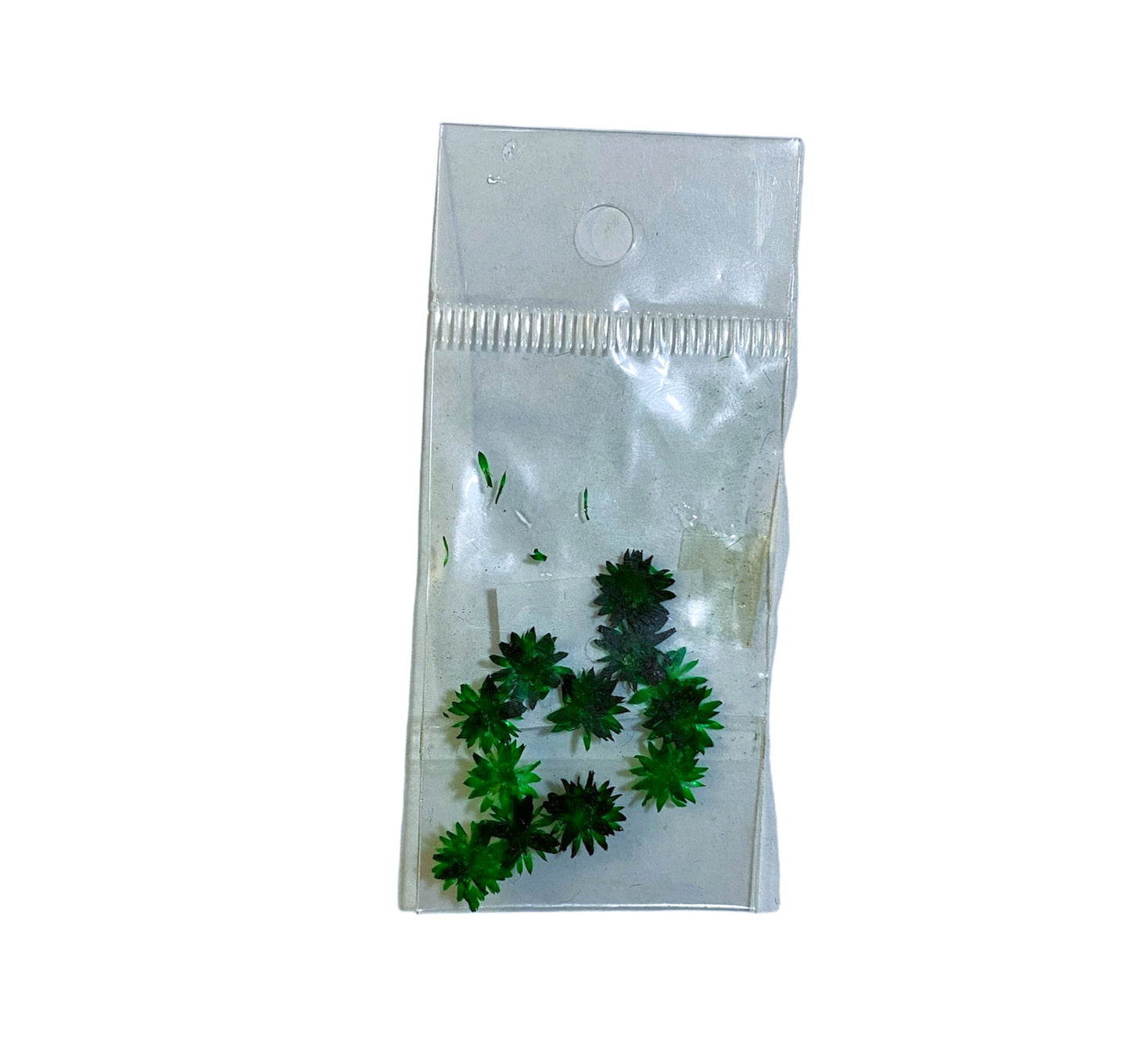 JUDITH NATURALEZA MUERTA MARGARITA